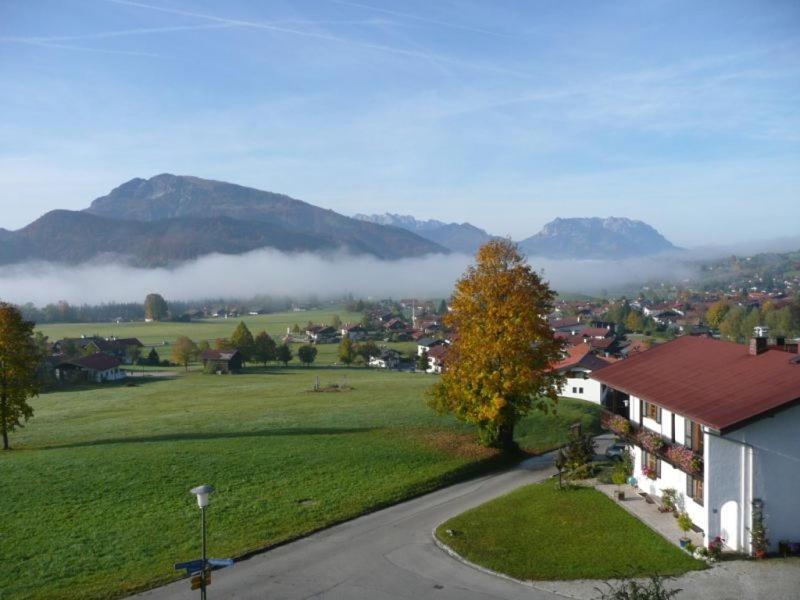 Hotel Haus Elfriede Reit im Winkl Esterno foto